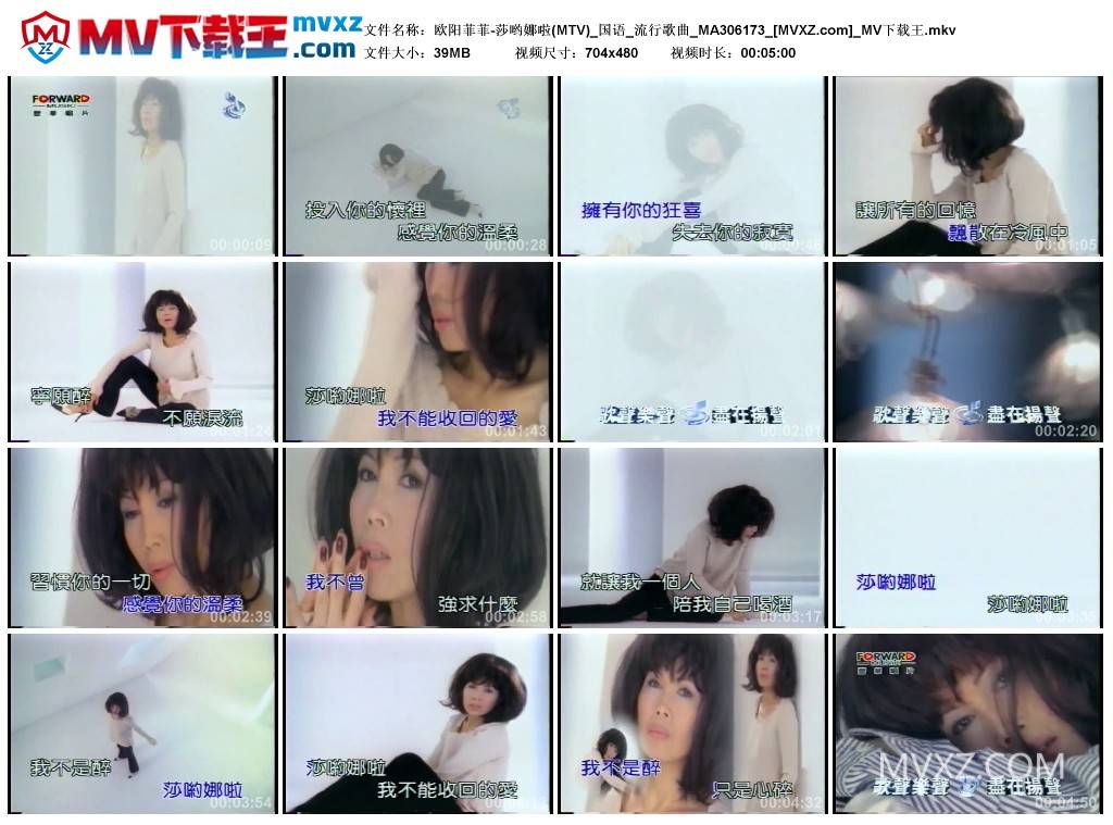 欧阳菲菲-莎哟娜啦(MTV)_国语_流行歌曲_MA306173